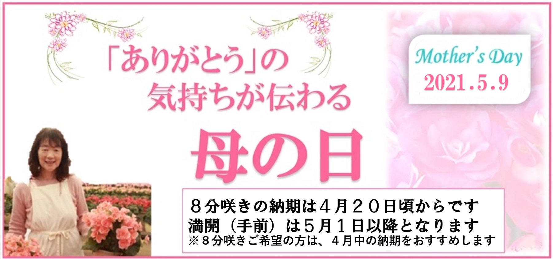べゴニアの育て方 ベゴニアライフ ベゴニアの生産農家母の日に最適な鉢植えギフト べゴニアの育て方 ベゴニアライフ ベゴニアの生産農家母の日に最適な鉢植えギフト